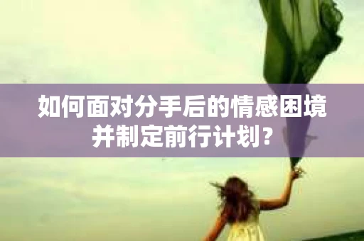 如何面对分手后的情感困境并制定前行计划？