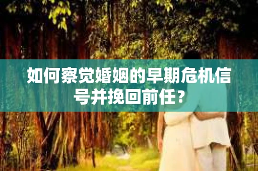 如何察觉婚姻的早期危机信号并挽回前任？