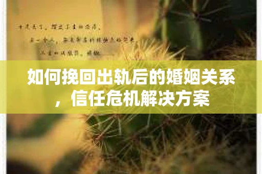 如何挽回出轨后的婚姻关系，信任危机解决方案