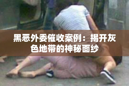 黑恶外委催收案例：揭开灰色地带的神秘面纱