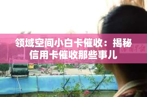 领域空间小白卡催收：揭秘信用卡催收那些事儿