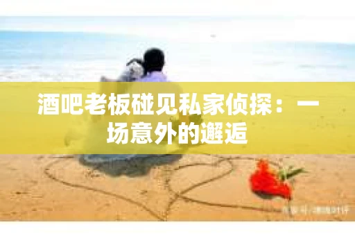 酒吧老板碰见私家侦探：一场意外的邂逅