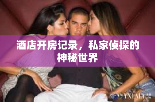 酒店开房记录，私家侦探的神秘世界