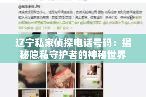 辽宁私家侦探电话号码：揭秘隐私守护者的神秘世界