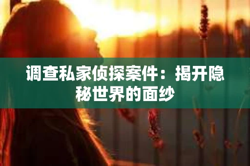 调查私家侦探案件：揭开隐秘世界的面纱