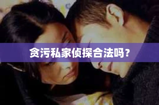 贪污私家侦探合法吗？