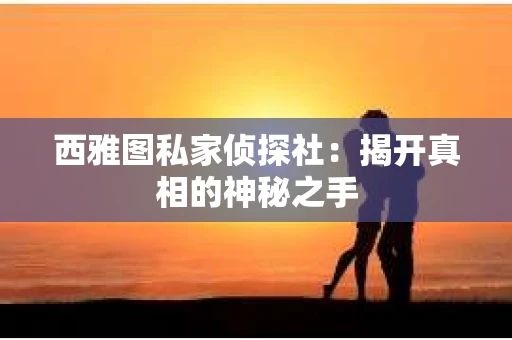 西雅图私家侦探社：揭开真相的神秘之手