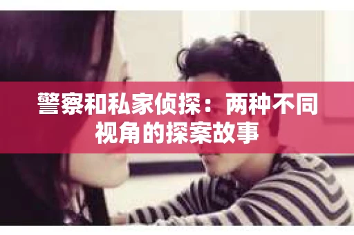 警察和私家侦探：两种不同视角的探案故事