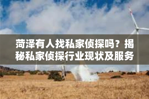 菏泽有人找私家侦探吗？揭秘私家侦探行业现状及服务内容