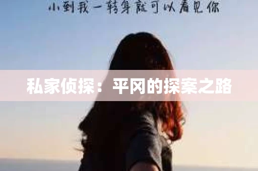 私家侦探：平冈的探案之路