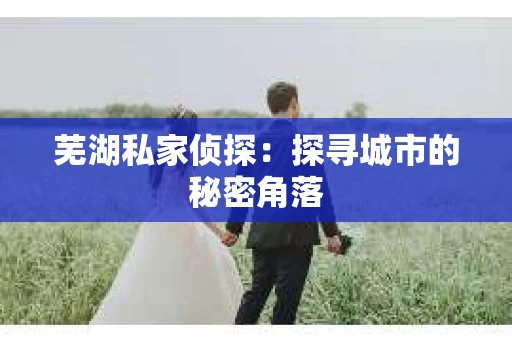 芜湖私家侦探：探寻城市的秘密角落