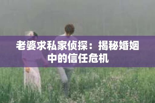 老婆求私家侦探：揭秘婚姻中的信任危机