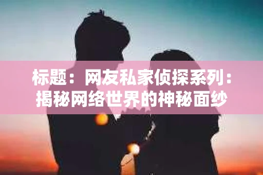 标题：网友私家侦探系列：揭秘网络世界的神秘面纱