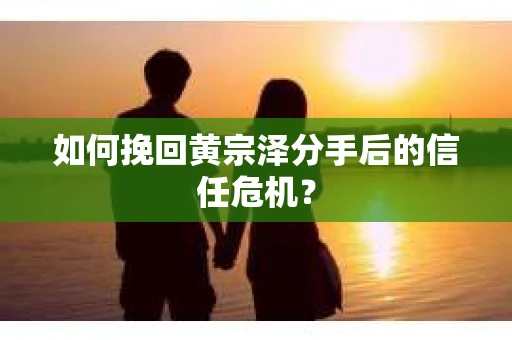 如何挽回黄宗泽分手后的信任危机？