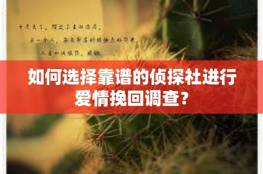 如何选择靠谱的侦探社进行爱情挽回调查？