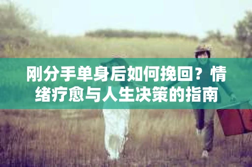 刚分手单身后如何挽回？情绪疗愈与人生决策的指南