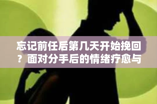 忘记前任后第几天开始挽回？面对分手后的情绪疗愈与决策指南