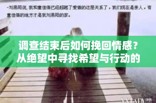 调查结束后如何挽回情感？从绝望中寻找希望与行动的指南